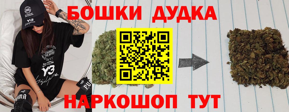 Каннабис план Удомля